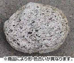 軽石鉢 ｓサイズ ホームセンター ビバホーム 商品検索