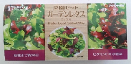 菜園セット ガーデンレタスミックス ホームセンター ビバホーム 商品検索