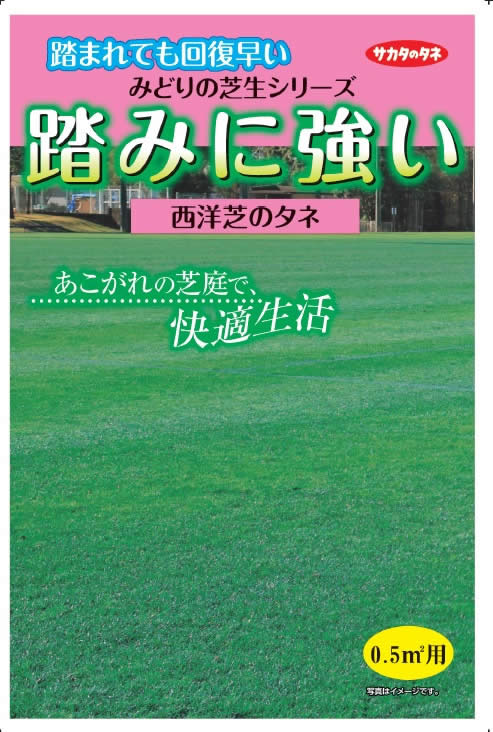 サカタ 踏みに強い芝生 ホームセンター ビバホーム 商品検索